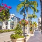 Rodeo Drive Private LA Tour